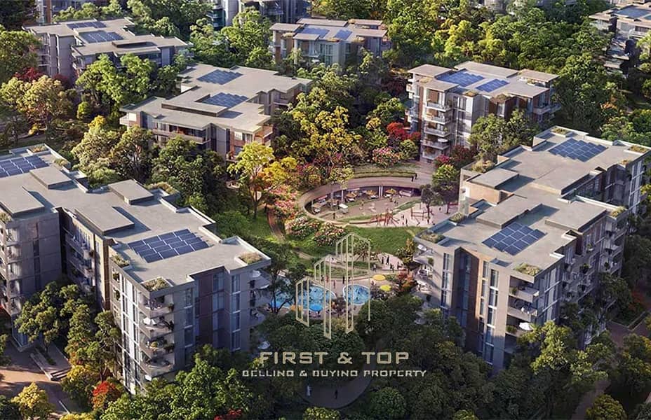 28 Serra-at-Ghaf-Woods-Banner. jpg