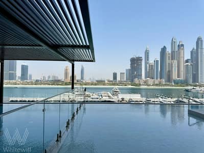 1 Bedroom Apartment for Sale in Dubai Harbour, Dubai - WhatsApp Image 2025-06-04 at 16.15. 40_87b6c625. jpg