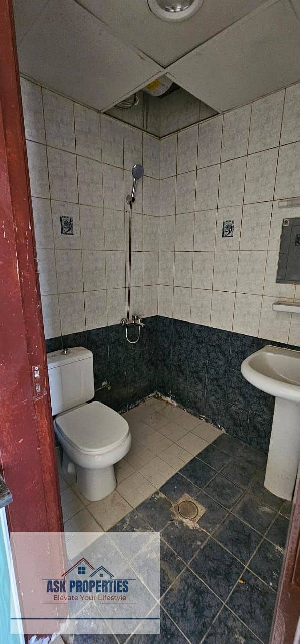 6 1000043645. jpg