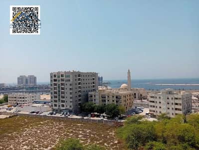 2 Cпальни Апартаменты в аренду в Ливара 1, Аджман - WhatsApp Image 2025-06-17 at 12.37. 04 PM (5). jpeg