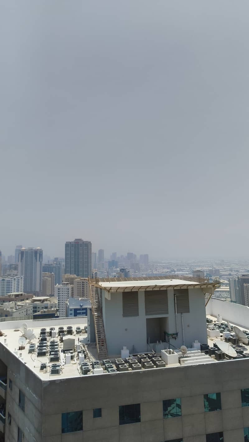 3 1000034164. jpg