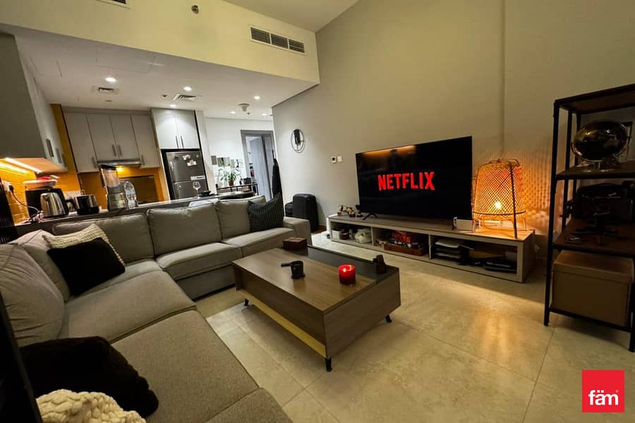 luxurious, Spacious, Furnished apartment