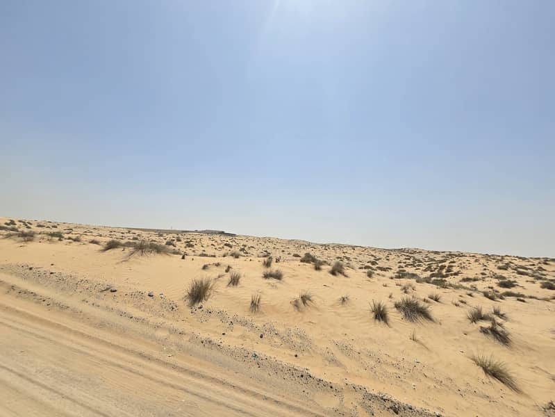 9 ٢٠٢٥٠٦١١_١٠٥٨٥٨. jpg