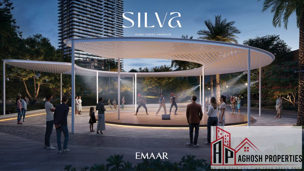4 SILVA_DCH_IMAGE04. jpg