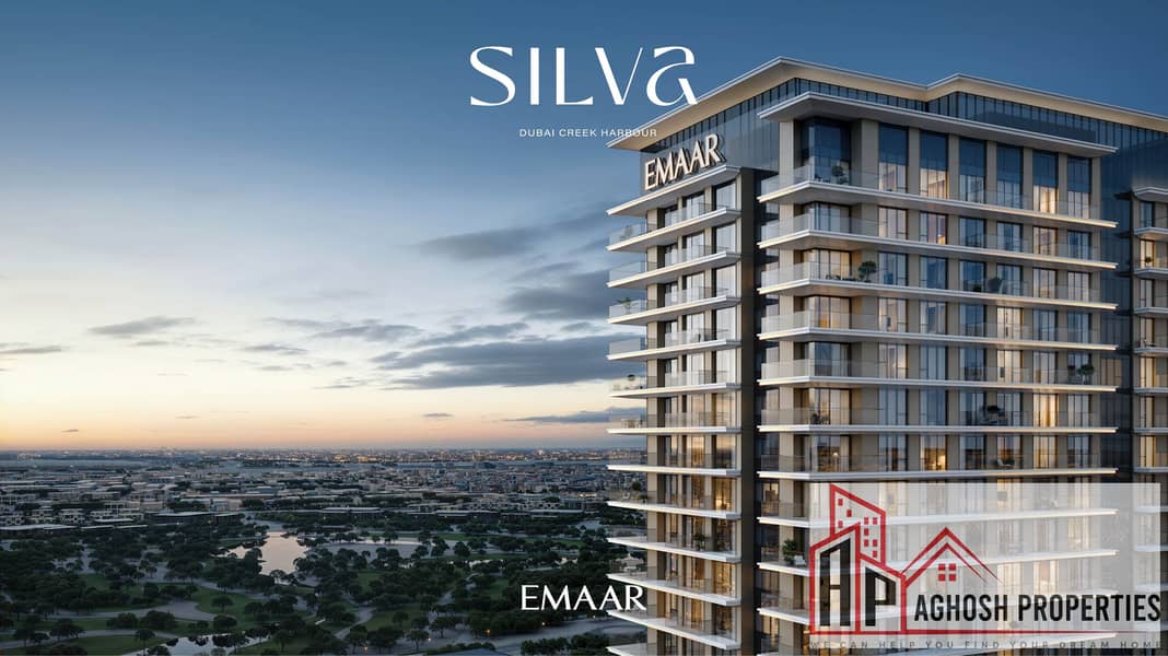 2 SILVA_DCH_IMAGE02. jpg