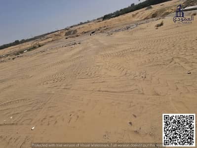Plot for Sale in Al Zahya, Ajman - WhatsApp Image 2025-04-10 at 8.51. 07 PM. jpeg