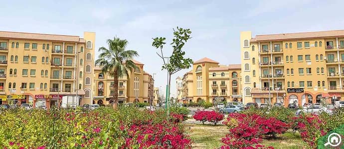 Areas with high-yield studios in Dubai and Abu Dhabi
