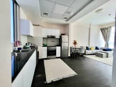 Fully furnished 1 br apartment | Vacant