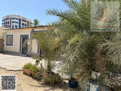 مبنى سكني 4 غرف نوم للبيع في ليوارا 2، عجمان - WhatsApp Image 2025-06-21 at 10.37. 26 AM (1). jpeg
