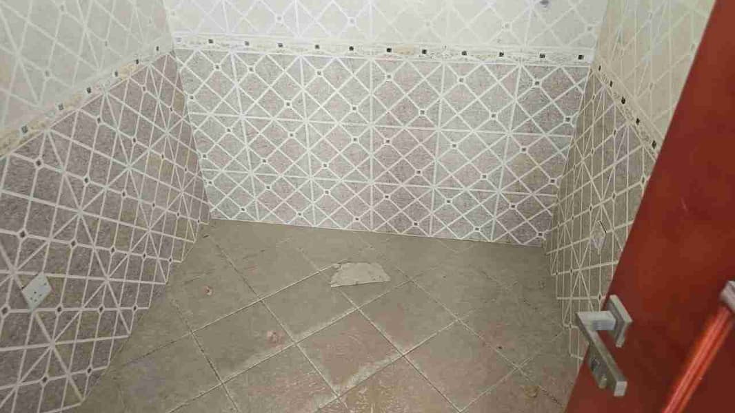 1000702408. jpg 1000702408. jpg