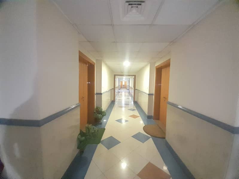 9 20250617_124511. jpg