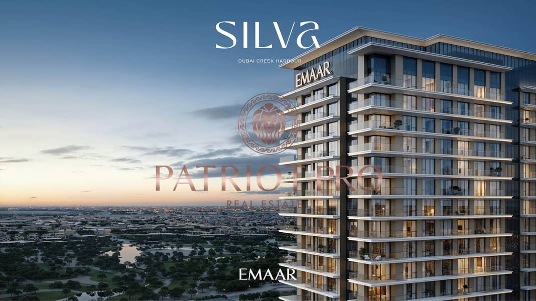 2 SILVA_DCH_IMAGE02. jpg