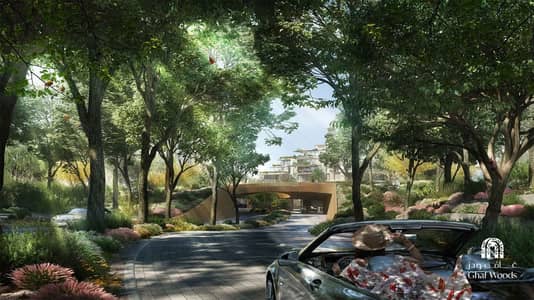 1 Bedroom Apartment for Sale in Ghaf Woods, Dubai - WhatsApp Image 2024-10-03 at 10.25. 45 AM. jpeg