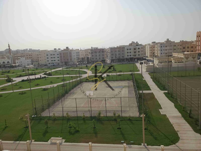 20250614_164759. jpg
