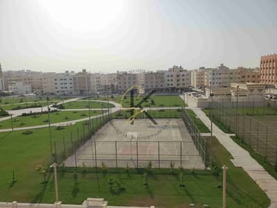 1 Bedroom Flat for Rent in Muwaileh Commercial, Sharjah - 20250614_165101. jpg
