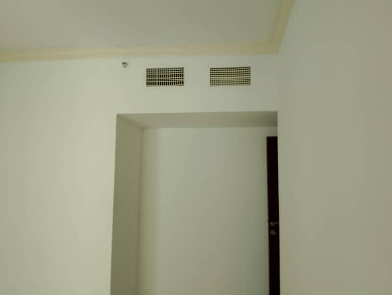 8 saeed 6. jpg