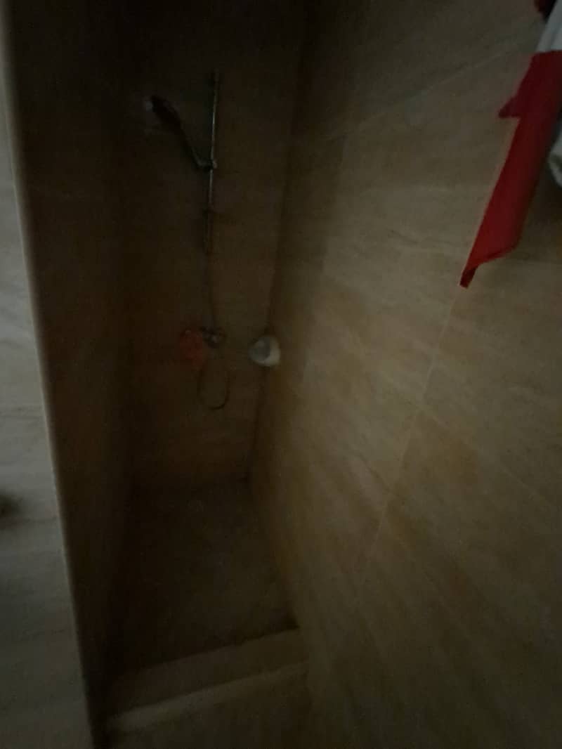 6 1000128245. jpg