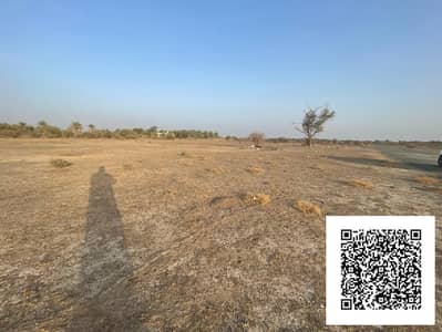 Plot for Sale in Al Manama, Ajman - WhatsApp Image 2025-06-22 at 8.11. 59 AM (6). jpeg