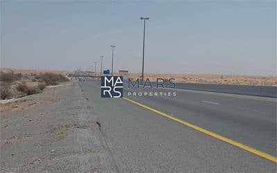 3 image. jpg
