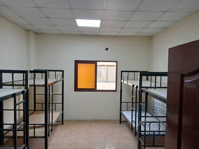 Labour Camp for Rent in Al Jurf, Ajman - WhatsApp Image 2025-06-22 at 7.13. 49 PM. jpeg