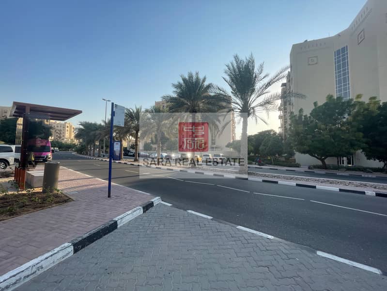 8 3.1 - Street. JPG