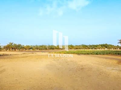 ارض سكنية  للبيع في مدينة زايد، أبوظبي - 757971921-800x600. jpg