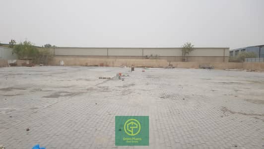 مستودع  للايجار في رأس الخور، دبي - Binil Open Yard-1. jpg