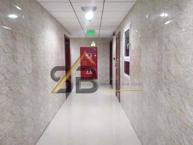 国际城， 迪拜 2 卧室单位待租 - 1d041478-e304-4227-b481-f39d011bb40d. jpg