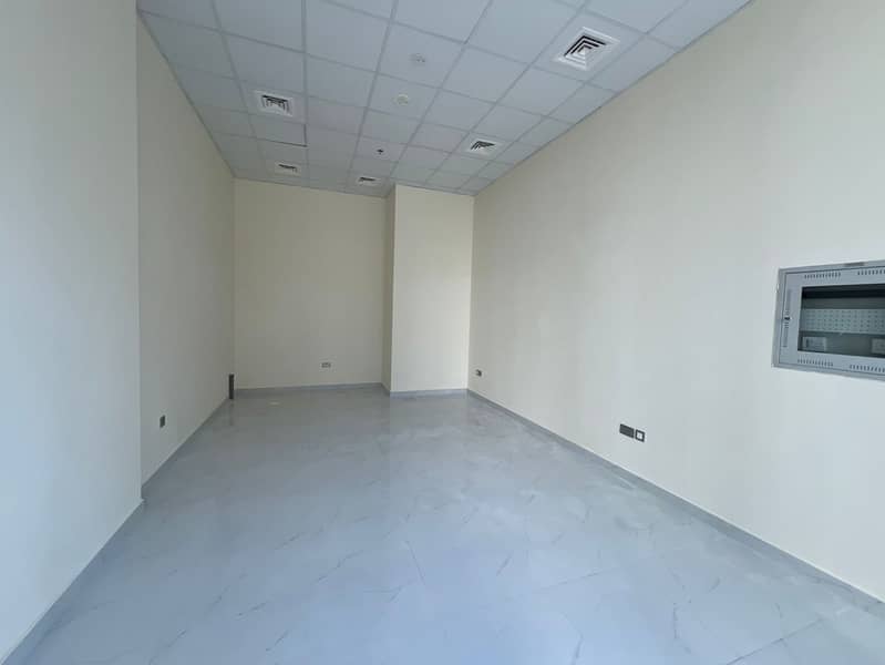 5 IMG-20250205-WA0052. jpg