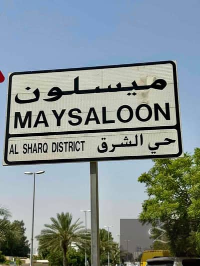 Plot for Sale in Maysaloon, Sharjah - 4424b7fc-01a9-48ea-86c1-4d990c7b9077. jpg