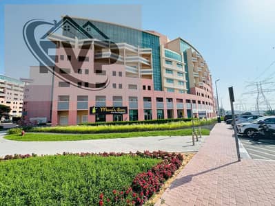 Studio for Rent in Discovery Gardens, Dubai - WhatsApp Image 2024-12-05 at 12.01. 04 PM. jpeg