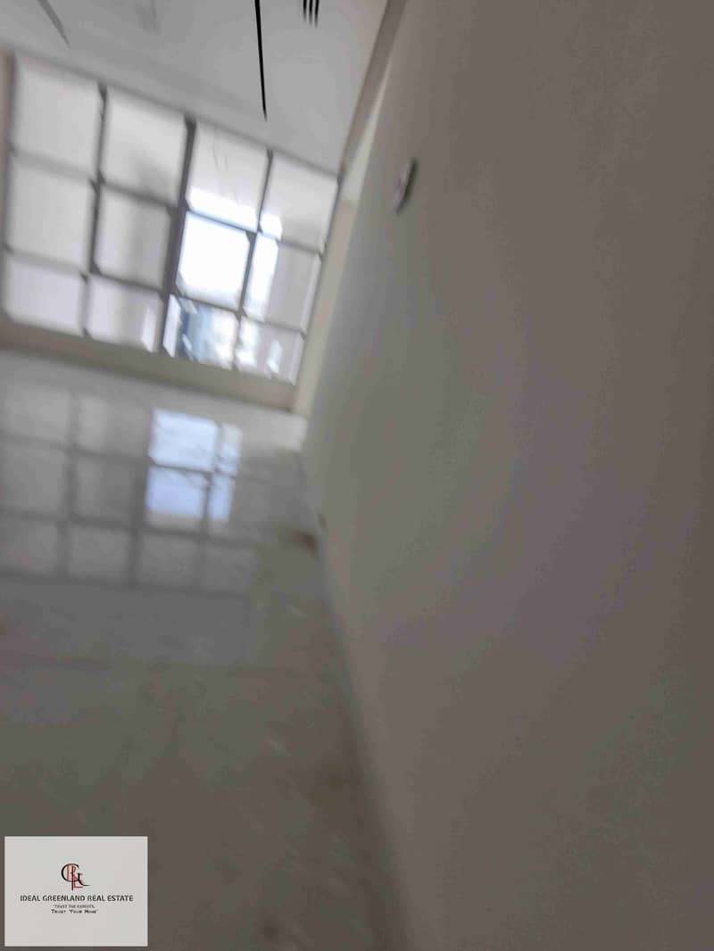 13 1000070206. jpg