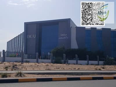 ارض سكنية  للبيع في السلام سيتي، أم القيوين - WhatsApp Image 2025-06-24 at 1.04. 30 PM. jpeg