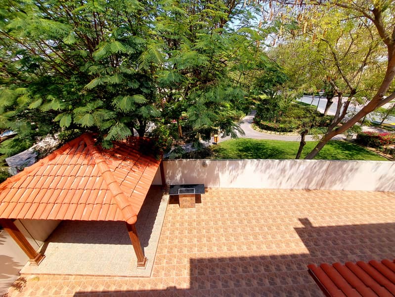 6 20230329_114210. jpg