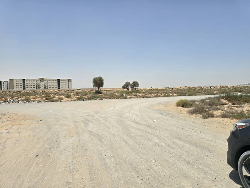 7 ٢٠٢٥٠٦١١_١١٣١٠٨(0). jpg