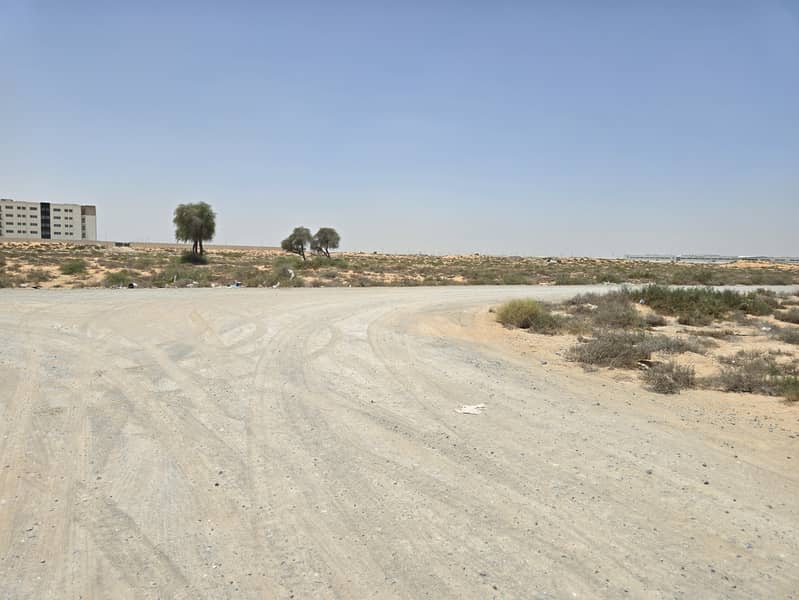 9 ٢٠٢٥٠٦١١_١١٣١١١(0). jpg