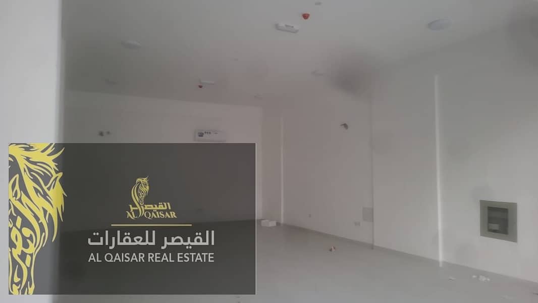 10 WhatsApp Image 2025-06-16 at 18.10. 54 (1)-Photoroom. png