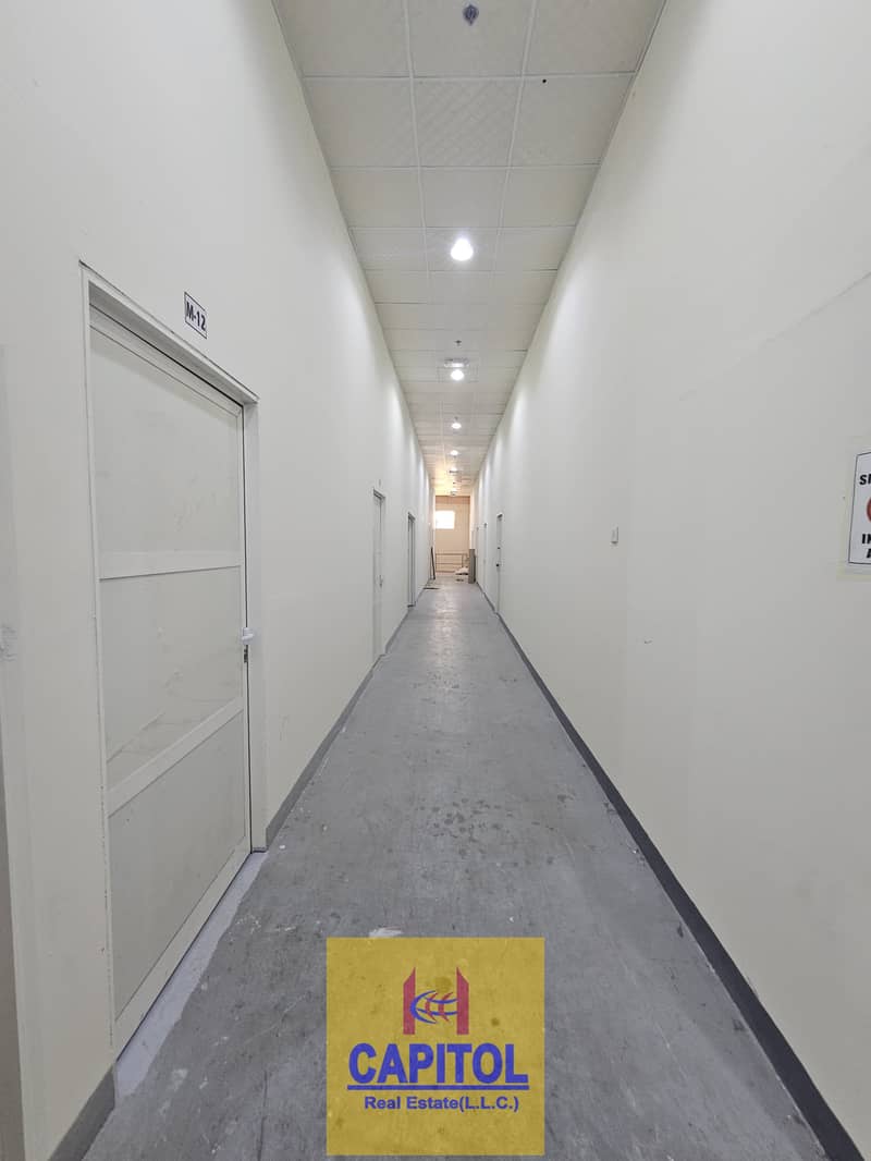 3 21. jpeg