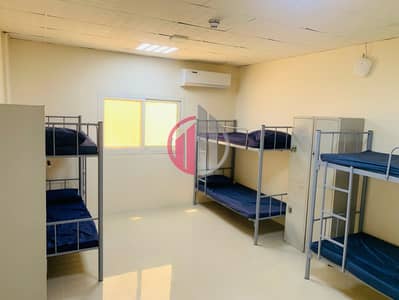 Labour Camp for Rent in Al Noud, Al Ain - WhatsApp Image 2025-04-09 at 11.42. 48_a7272358. jpg