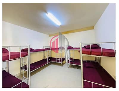 Labour Camp for Rent in Mussafah, Abu Dhabi - 3. jpg