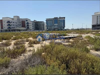 Plot for Sale in Al Warsan, Dubai - WhatsApp Image 2025-06-25 at 11.26. 47 AM. jpeg