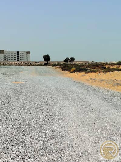 Industrial Land for Sale in Al Sajaa Industrial, Sharjah - WhatsApp Image 2025-06-18 at 10.23. 44 AM(2). jpeg