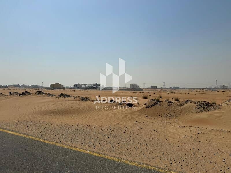 2 Al Zubair Orchards 3. jpeg