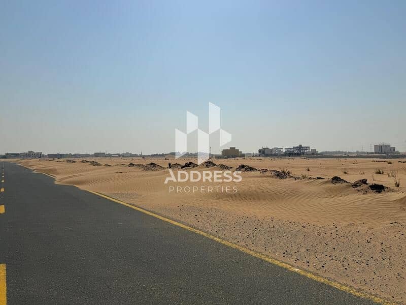 5 Al Zubair Orchards 6. jpeg