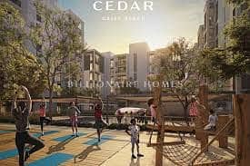 3 Cedar9. jpg