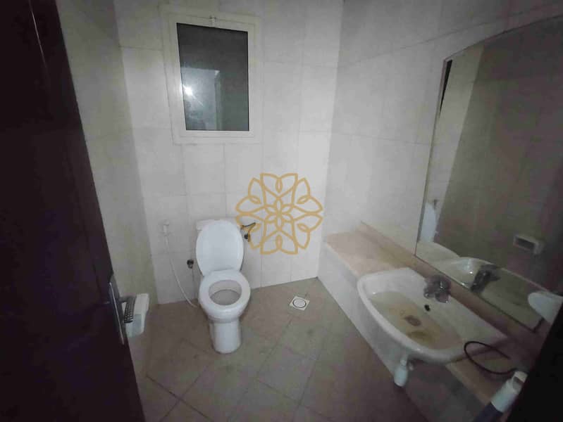 9 1740464694854. jpg