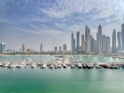 1 Bedroom Flat for Rent in Dubai Harbour, Dubai - 63984533-63b5-47e9-a33d-5d50e4216cac. jpeg