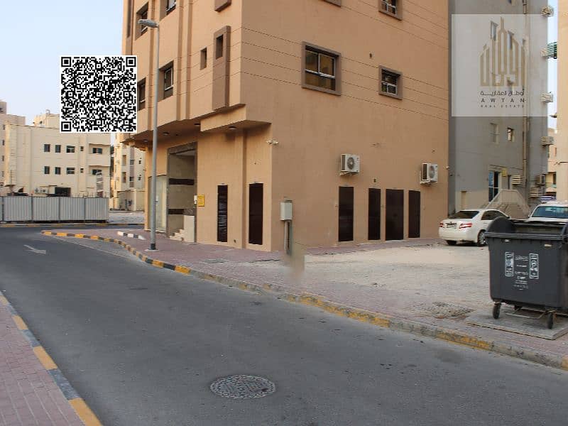 5 IMG_0803. png