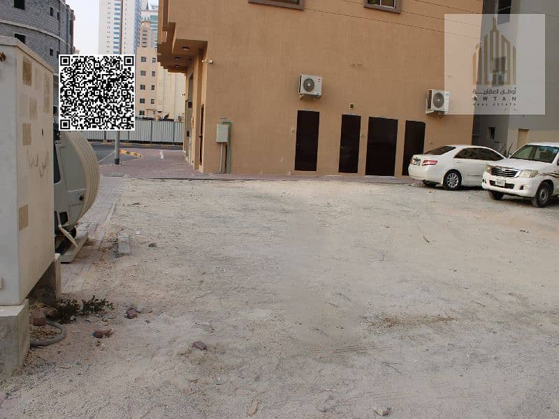8 IMG_0808. png