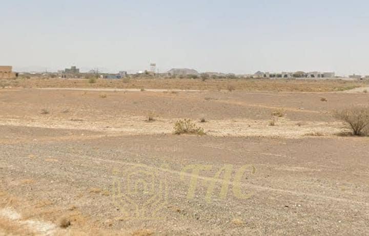 2 صورة واتساب بتاريخ 2025-06-26 في 15.58. 48_1f1220f4. jpg